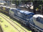 RUMO 9597